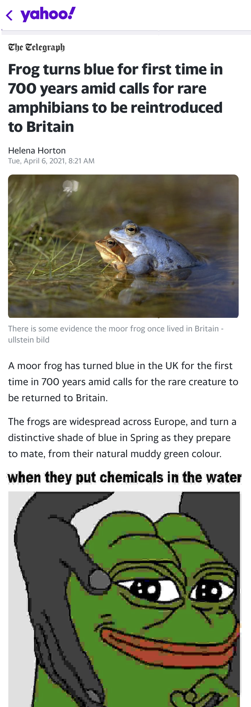 theyre turning the frogs gay