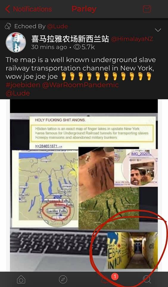 Hunter Biden's Finger Lakes Tattoo on his back? Rockland County Tunnels