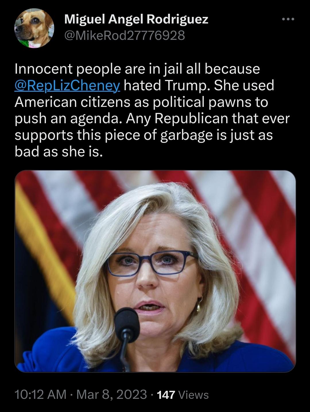 Innocent people are in jail because @RepLizCheney hated Trump.  – The Donald – America First