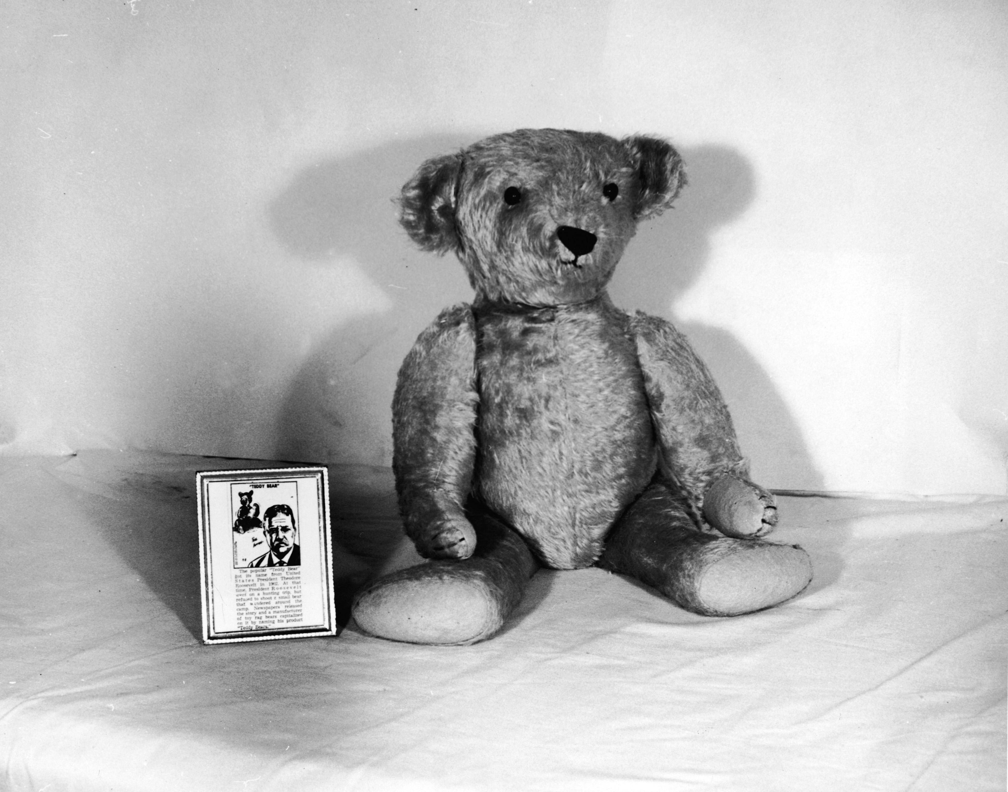 On this day in 1903, the 1st Teddy Bear was introduced in America, made ...